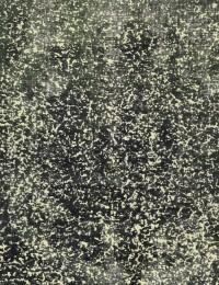 Giallo Persiano Tappeto vintage persiano  268 x 185 cm