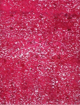Rosa Persiano Tappeto vintage persiano 215 x 90 cm - view 3