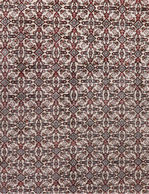 Beige Perzië Perzisch Tapijt  300 x 205 cm