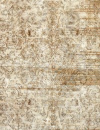 Beige Persia Persian Vintage Carpet 305 x 218 cm - view 4