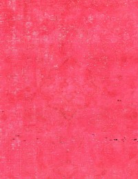 Rose Persien Persisk Vintagetæppe 164 x 164 cm - view 3