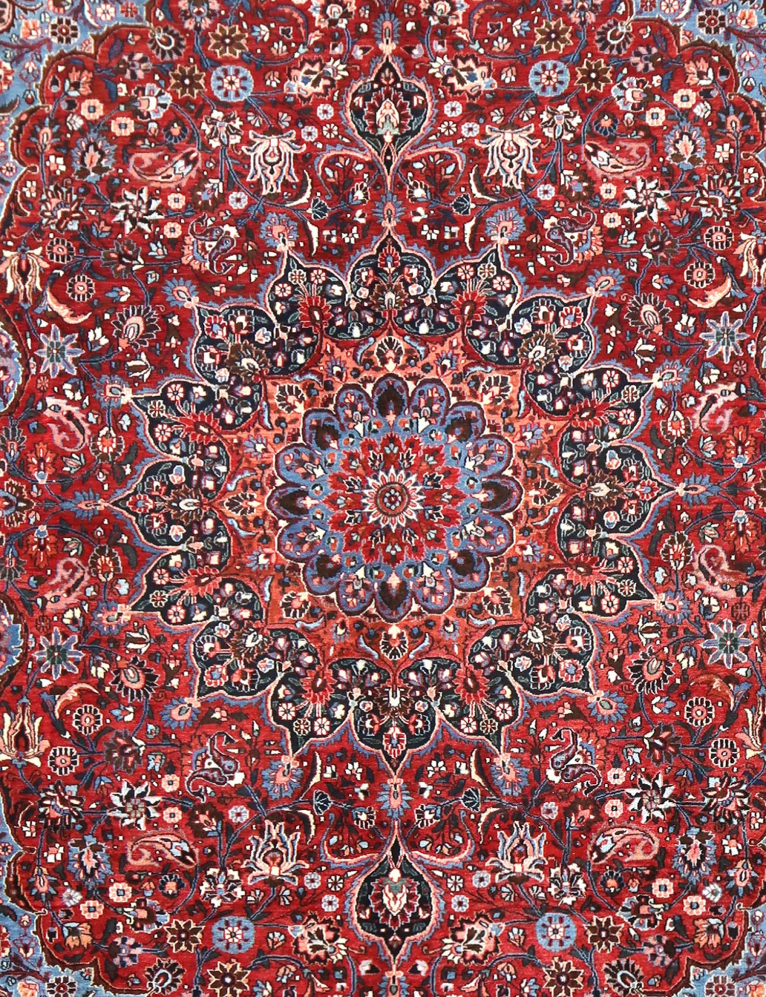 Moud Patina   414 x 305 cm