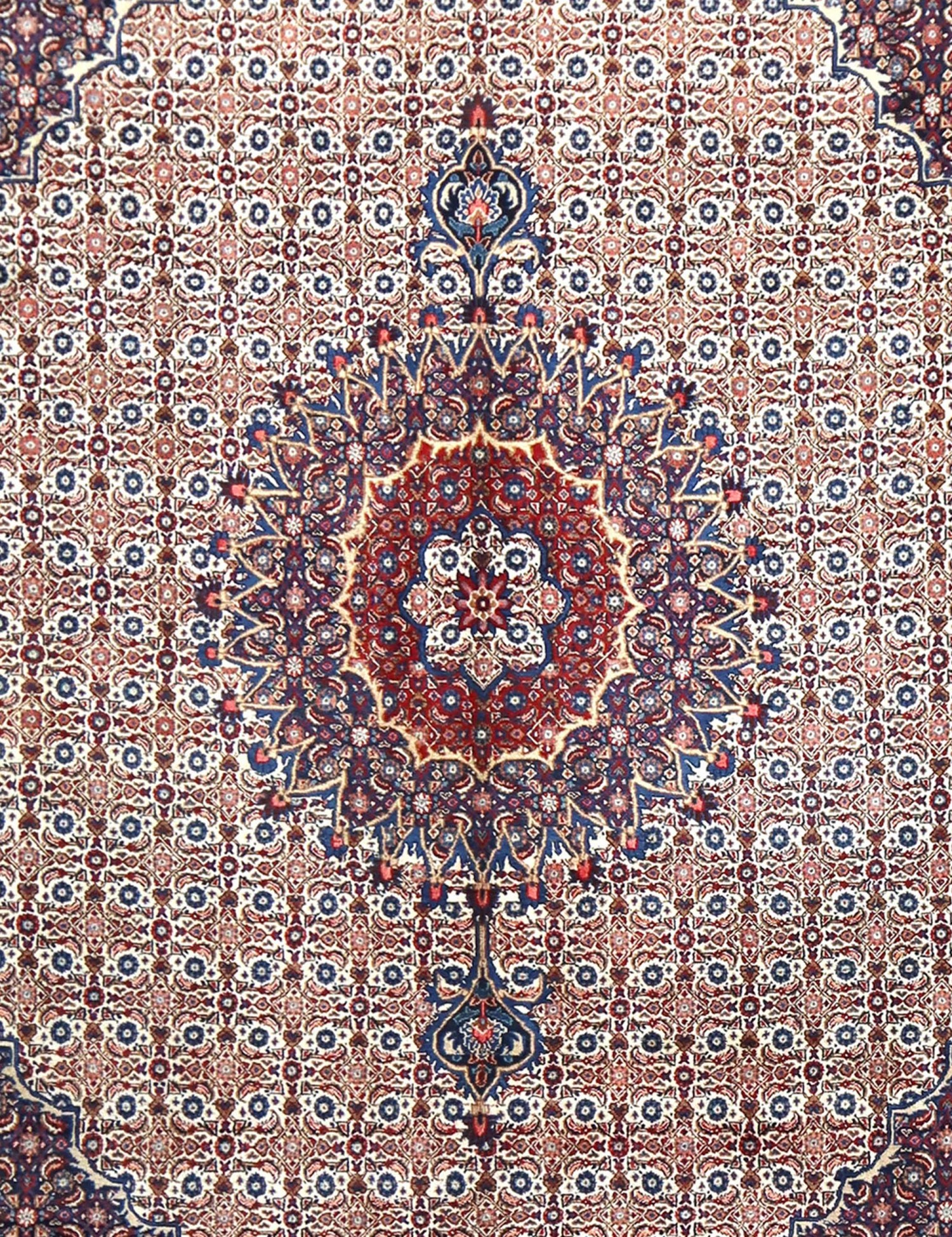 Moud Patina   385 x 294 cm