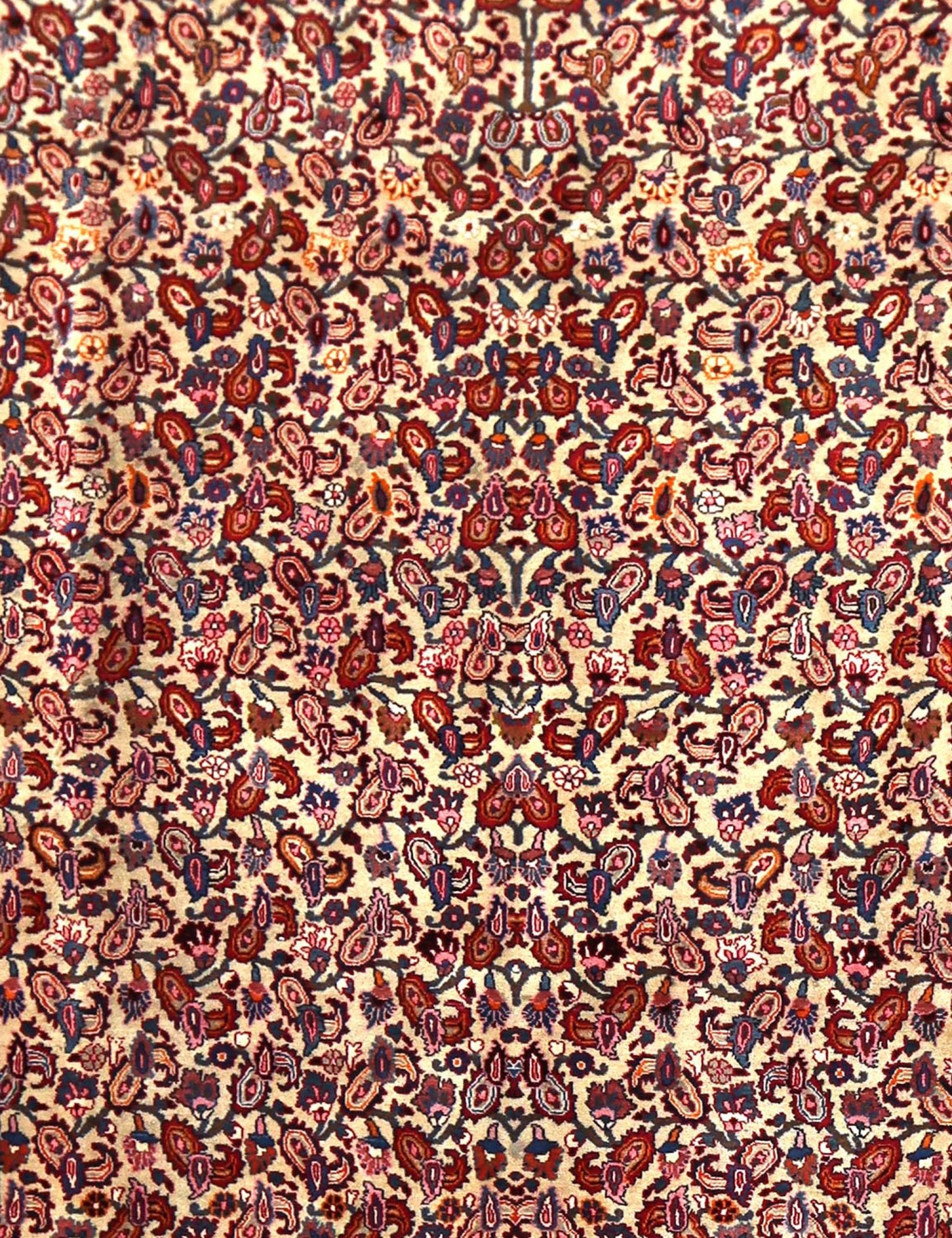 Moud Patina   350 x 248 cm