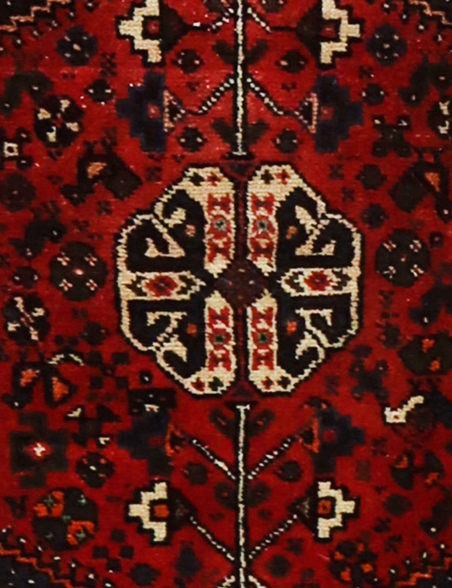 Shiraz   105 x 70 cm