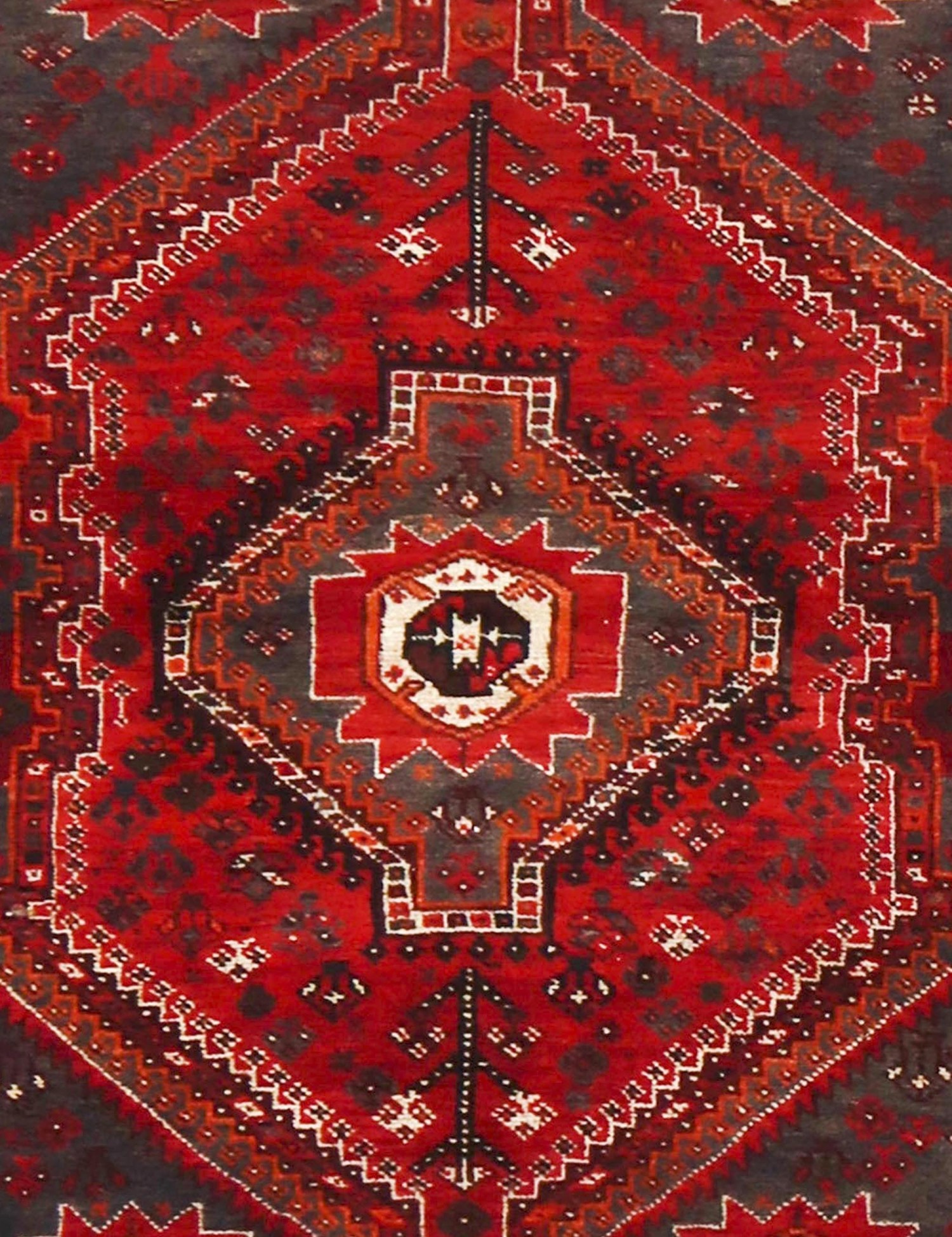 Shiraz   175 x 116 cm