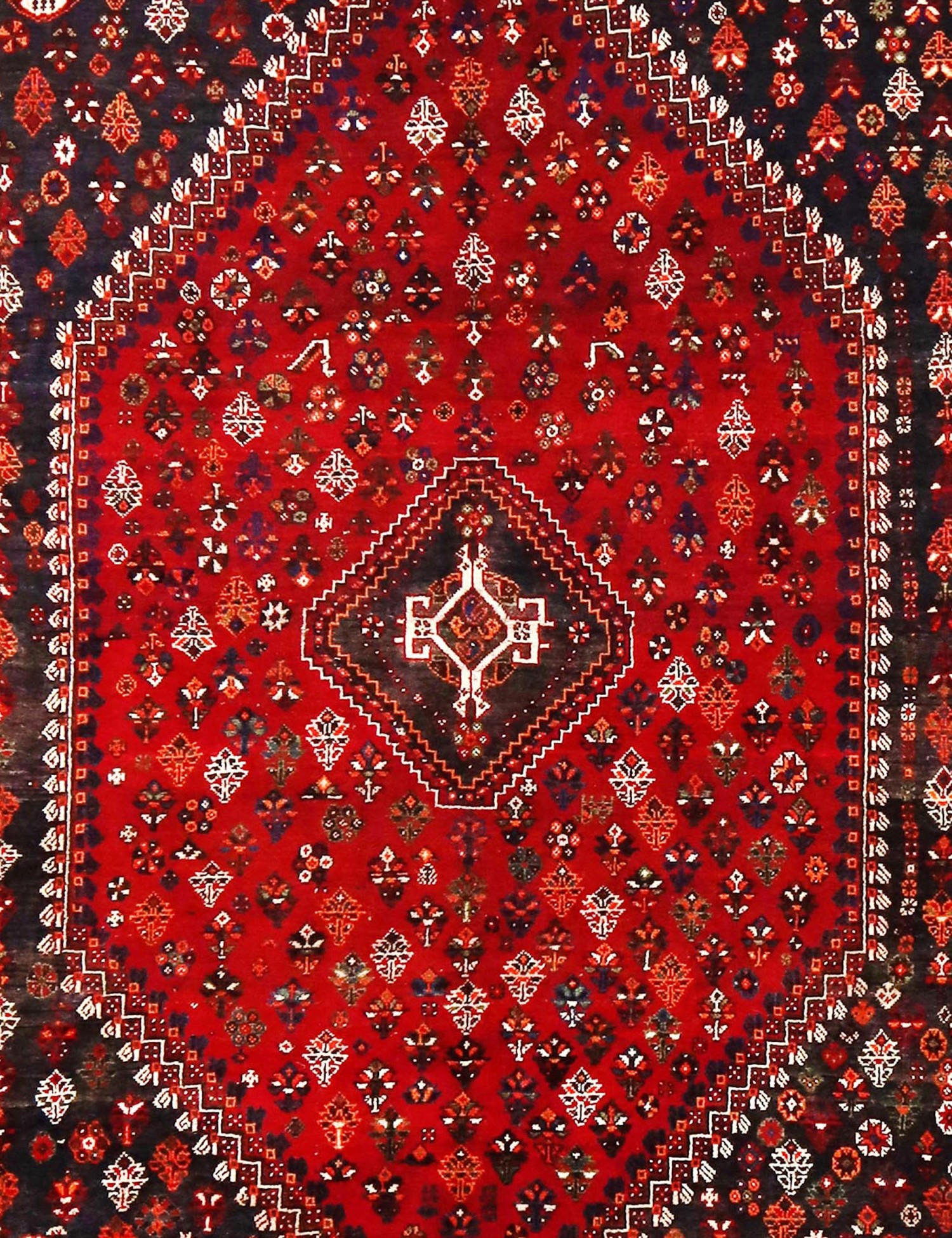 Shiraz   295 x 211 cm