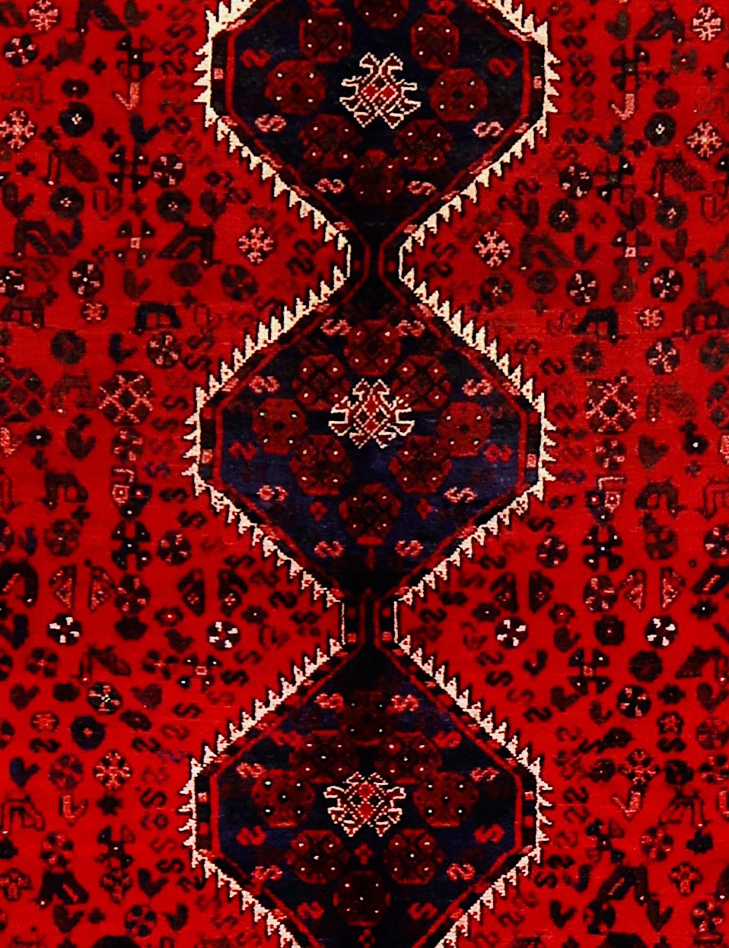 Shiraz   215 x 148 cm