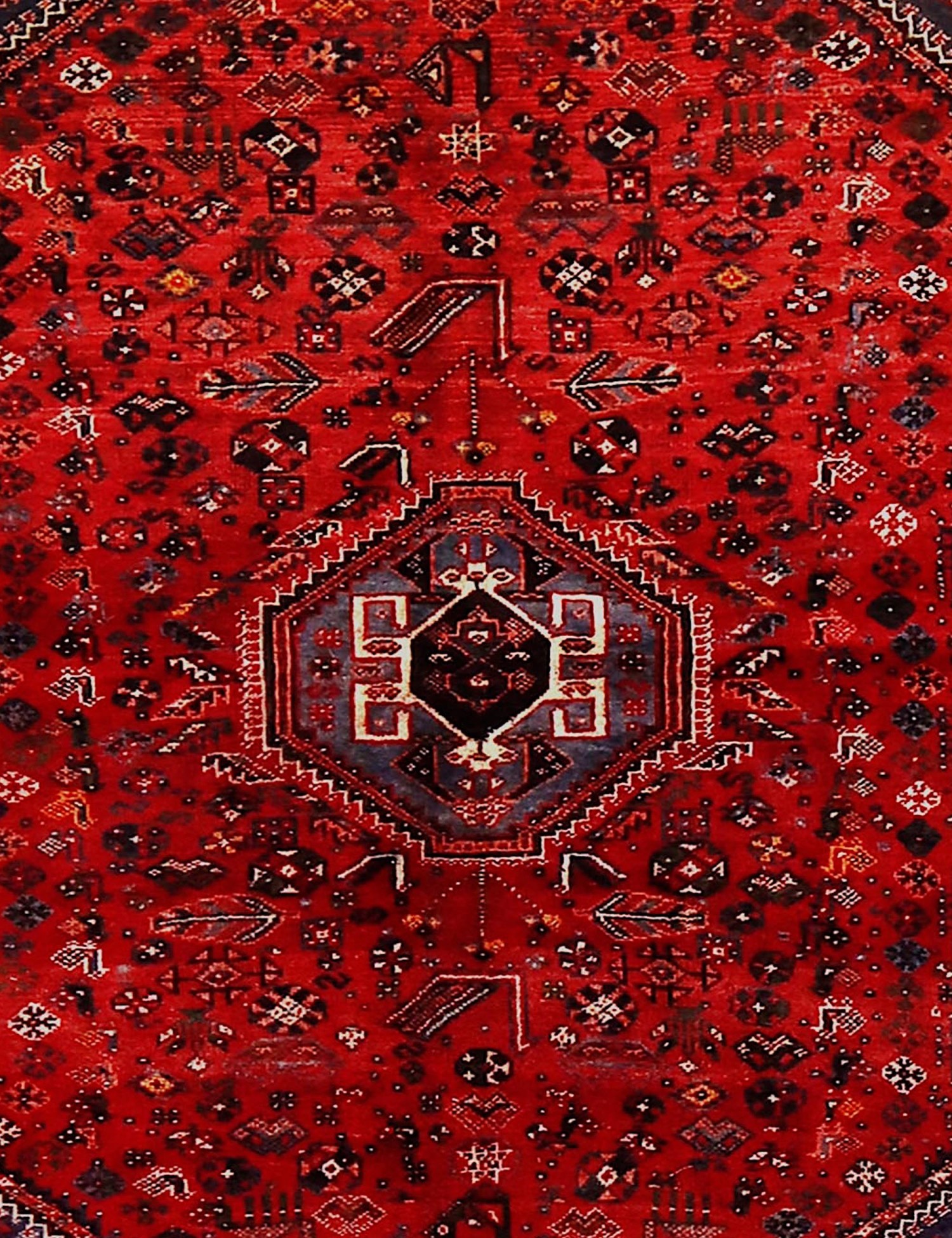 Shiraz   282 x 174 cm