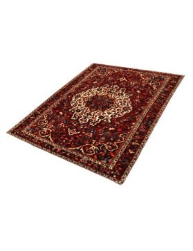 Bakhtiar 305 x 205