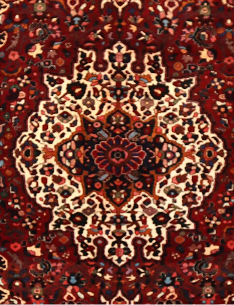 Bakhtiar  <br/>305 x 205 cm