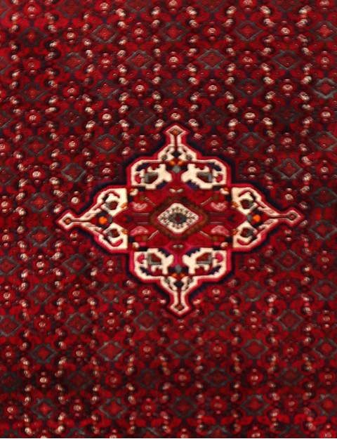 Hamadan  <br/>289 x 210 cm