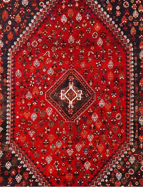 Shiraz  <br/>295 x 211 cm