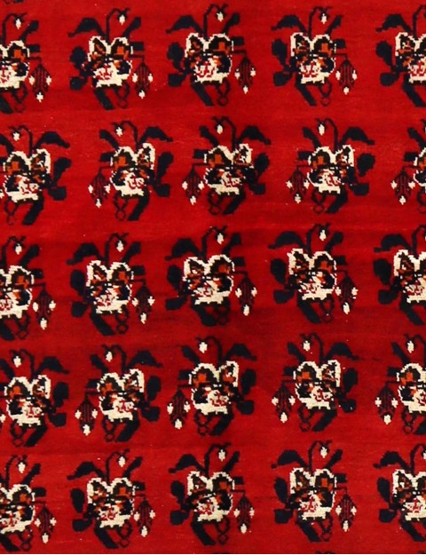 Shiraz  <br/>181 x 146 cm