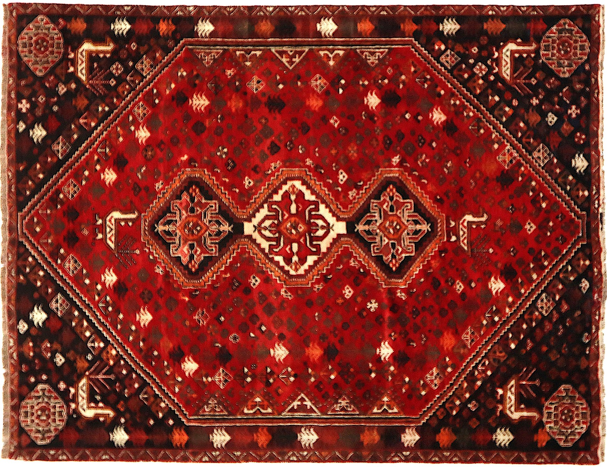 Shiraz   262 x 190 cm