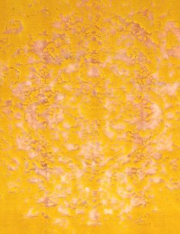 Yellow Persia Soba 294 x 201 cm - view 4