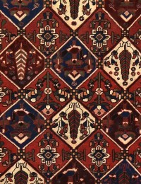 Brown Persia Bakhtiar Patina 195 x 151 cm - view 4