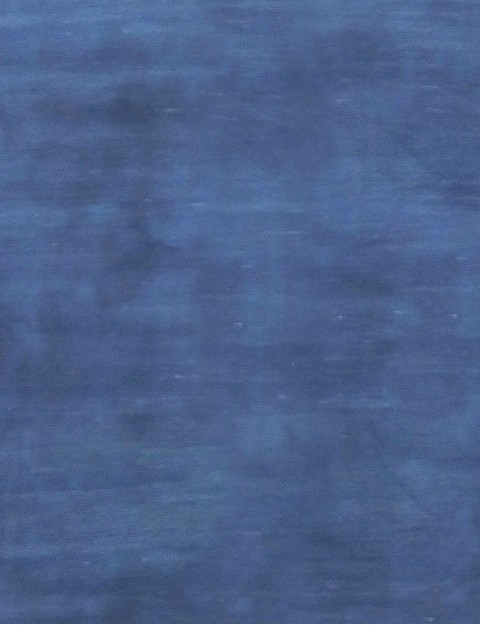 Persian Gabbeh 294 x 200