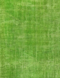 Vert Turc Tapis vintage 270 x 180 cm - view 3