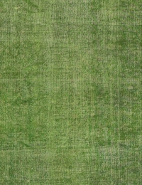 Green Turkey Vintage Carpet 264 x 160 cm - view 3