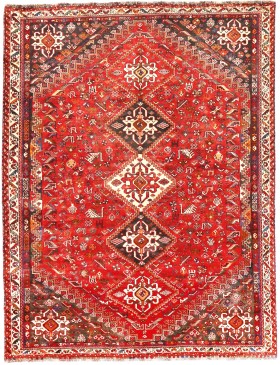 Rouge Persan Shiraz  307 x 219 cm