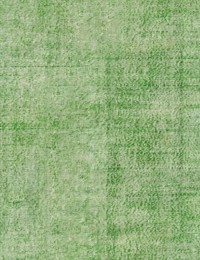 Grøn Tyrkiet Vintagetæppe 140 x 140 cm - view 1
