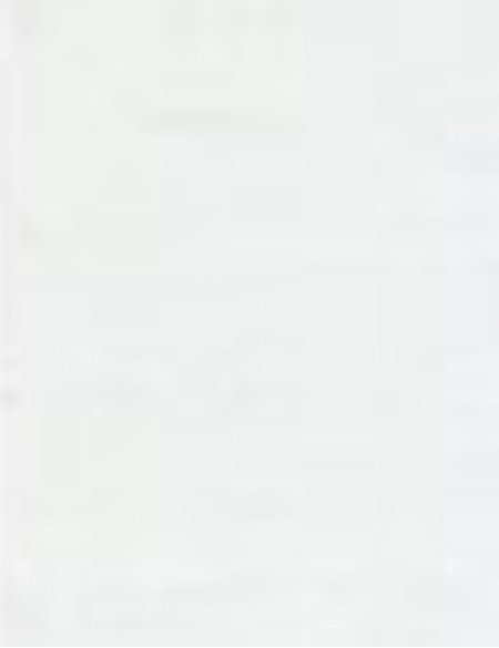 Tencel Seide  <br/>500 x 84 cm