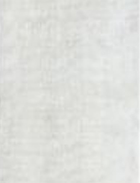 Tencel Silk 303 x 84 grey