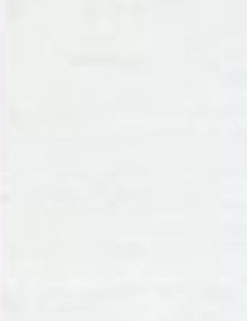 Tencel Silk 306 x 84 grey