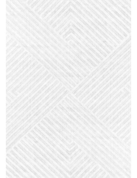 Vit India Tencel Silk  400 x 300 cm