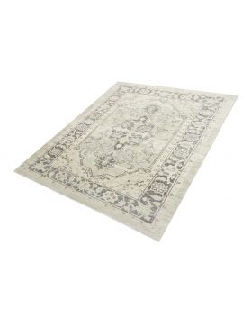 Persian Rug 302 x 196 beige 