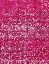 Rose Persien Persisk Vintagetæppe  197 x 197 cm