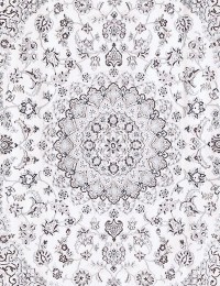 Beige Persien Nain  258 x 203 cm