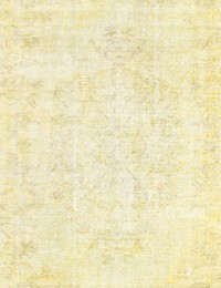 Gul Tyrkiet Persisk Vintagetæppe 333 x 192 cm - view 2