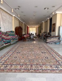 Harmaa Afghanistan Ziegler Carpet  535 x 349 cm