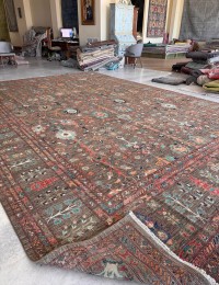 Brun Afghanistan Ziegler tæppe 583 x 390 cm - view 5