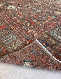 Brun Afghanistan Ziegler tæppe 583 x 390 cm - view 6