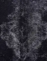 Svart Persien Vintage Matta 385 x 288 cm - view 4