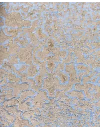 Grey Persia Persian Vintage Carpet  403 x 290 cm