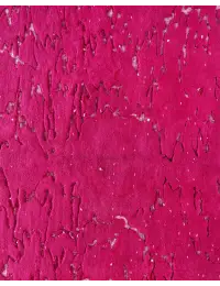 Rouge Persan Tapis Persan vintage  390 x 280 cm