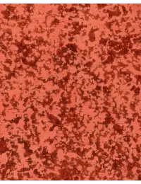 Grau Persien Persischer Vintage Teppich  290 x 290 cm