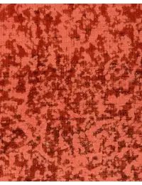 Grau Persien Persischer Vintage Teppich  290 x 290 cm