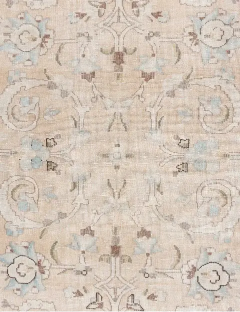 Beige Pakistan Alfombra persa vintage  258 x 173 cm