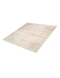 Beige Persan Tapis Persan vintage 305 x 218 cm - view 1