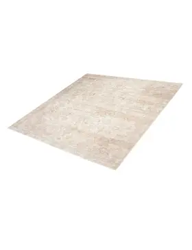Beige Persan Tapis Persan vintage 305 x 218 cm - view 1