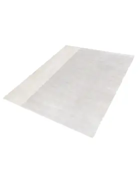 Beige India Seta Tencel 405 x 297 cm - view 1