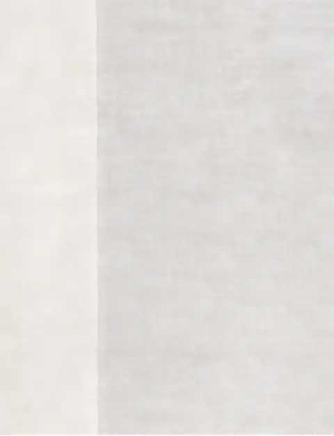 Beige India Tencel Silk 306 x 300 cm - view 3