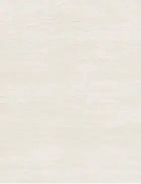 Beige India Seta Tencel 452 x 350 cm - view 3