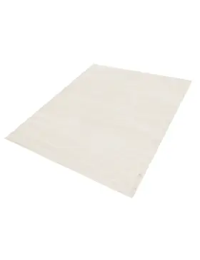 Beige India Seta Tencel 452 x 350 cm - view 1