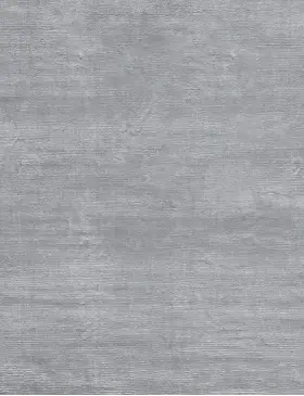 Grigio India Seta Tencel 305 x 246 cm - view 3